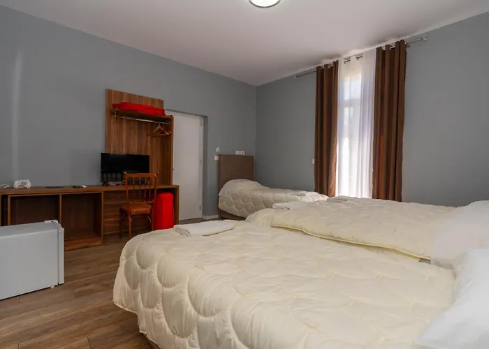 Hotel Gjuhadoli 2 4*