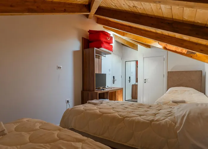 Gjuhadoli 2 Shkodër