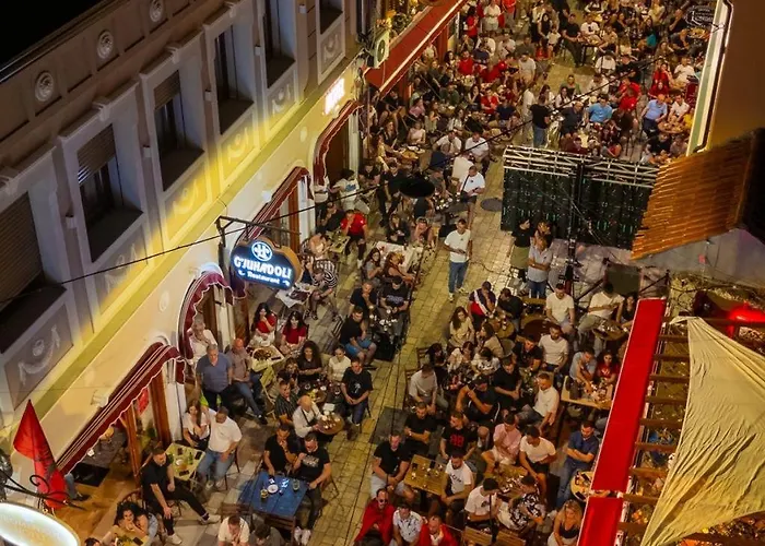 Gjuhadoli 2 Shkodër